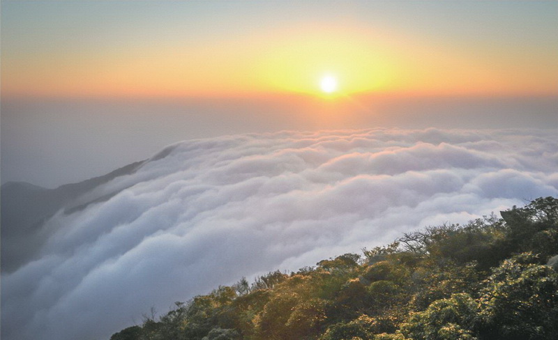 陽(yáng)山 大稠頂 云海