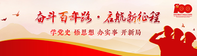 黨史學(xué)習(xí)教育專(zhuān)題