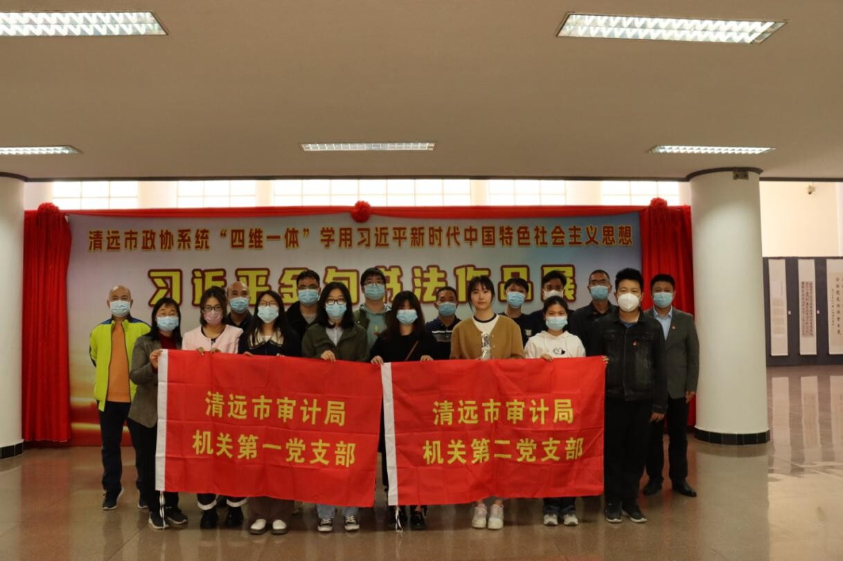 2.清遠市審計局組織開展“觀展覽、悟思想、踐行動”主題黨日活動_2