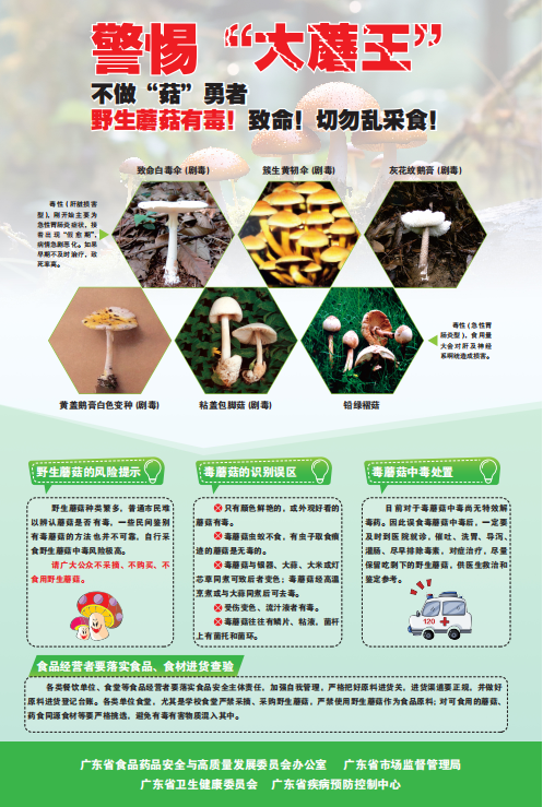 警惕“大蘑王”，不做“菇”勇者.png