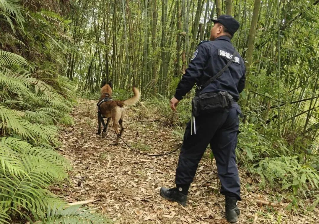 “狼牙”“黑鷹”，加雞腿！